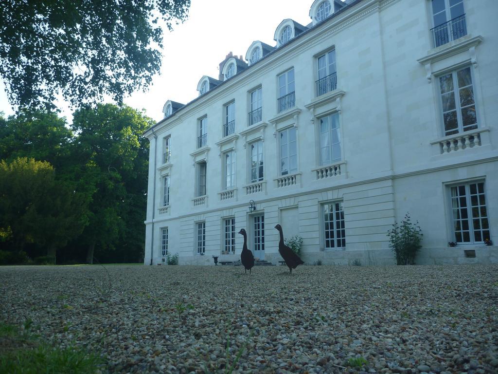 Bed and Breakfast Chateau De Paradis (Adults Only) La Croix-en-Touraine Exterior foto