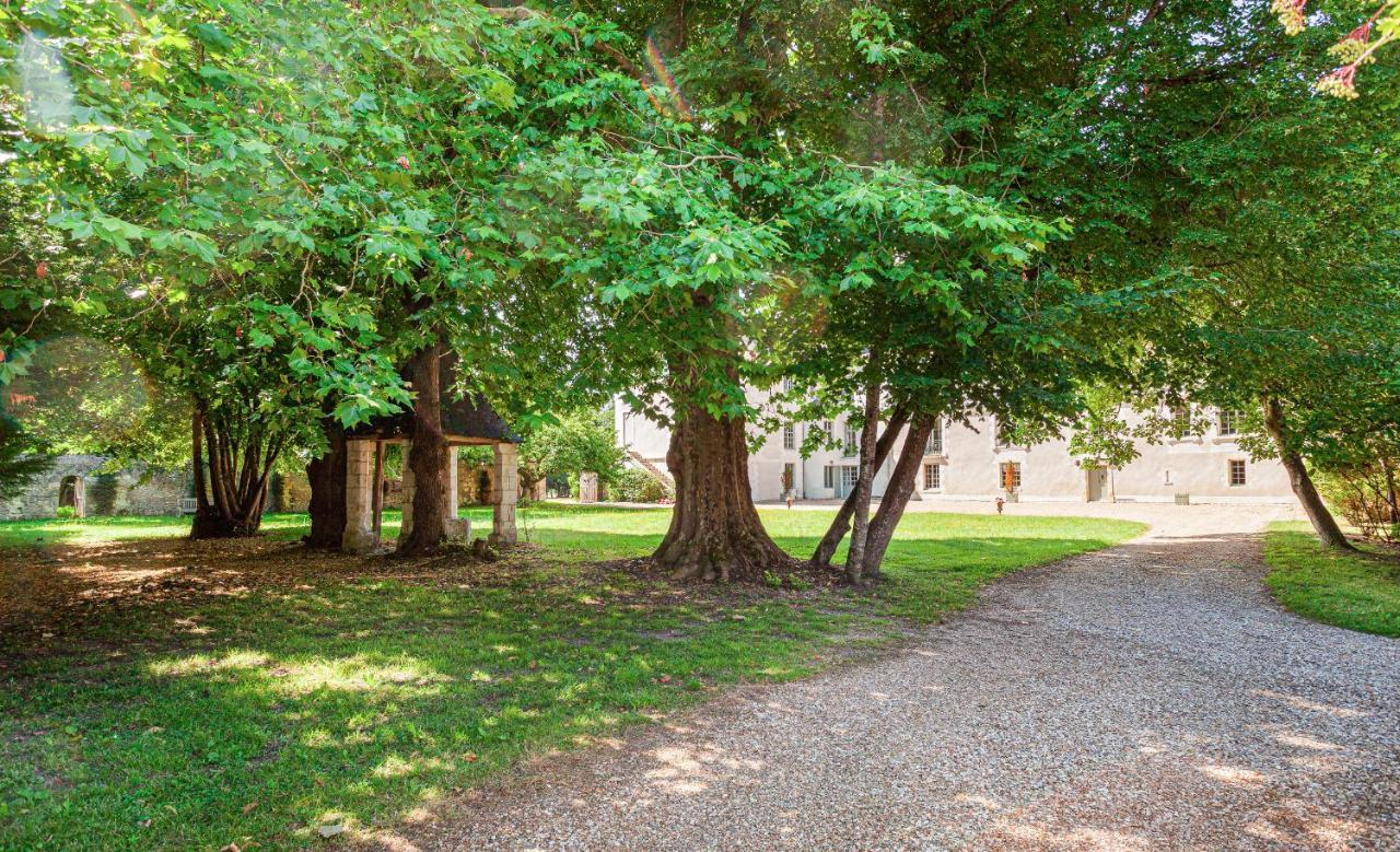 Bed and Breakfast Chateau De Paradis (Adults Only) La Croix-en-Touraine Exterior foto