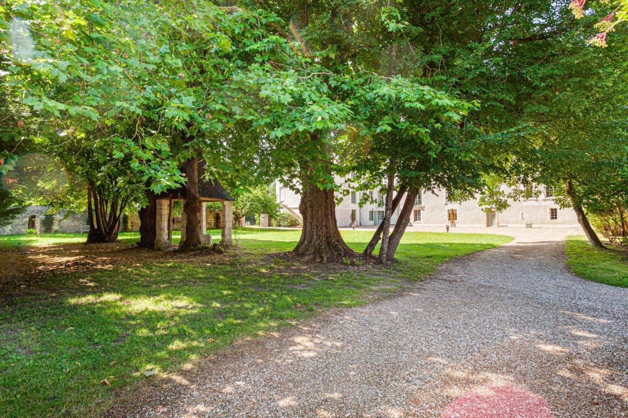 Bed and Breakfast Chateau De Paradis (Adults Only) La Croix-en-Touraine Exterior foto